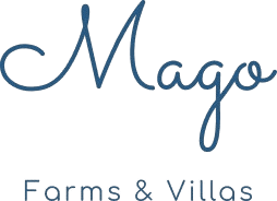 Mago